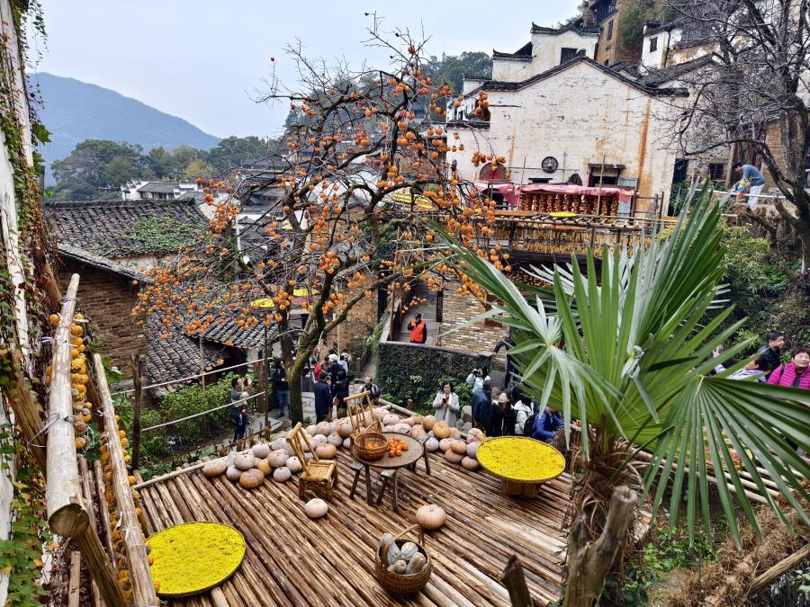 1733451070498645F44F.jpg 10.jpg